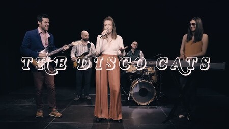 POLETJE V IZOLI: The disco cats