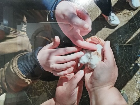 Razstava fotografij v Mestni knjižnici Izola: »ŽIVALI IN MI«