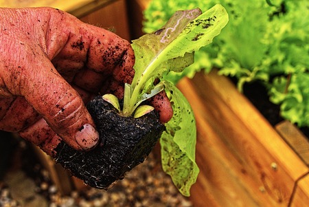 Fotografija je simbolična.