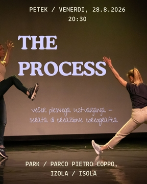 POLETJE V PARKU: THE PROCESS – večer plesnega ustvarjanja