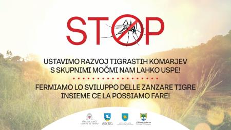 Občine slovenske Istre skupaj v preventivni akciji proti tigrastim komarjem