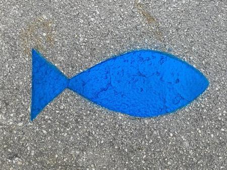 Modra ribica označuje šolsko pot