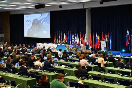 COP 23. Foto: Peter Irman.