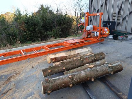 Ponovna uporaba lesa novoletne jelke. Foto: InnoRenew CoE.