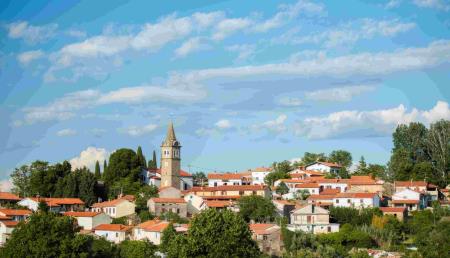 Pomjan (foto: Jaka Ivančič, vir MOK)