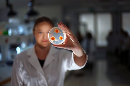 Anna Sandak z ekipo, podprto s strani EU, razvija ekološko prijazne gradbene materiale, ki se lahko samodejno obnavljajo – tako, kot se narava. Foto: Evropska unija 2025.